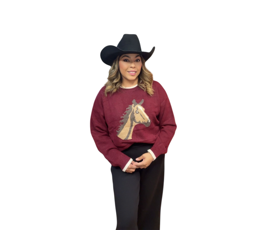 Women’s Horse sweater